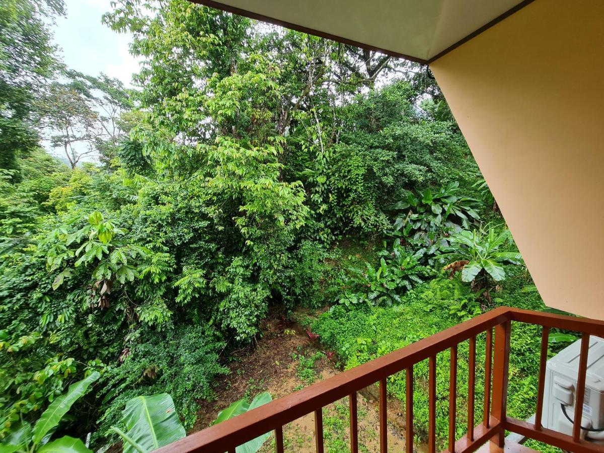 Ceiba Lodge Драке Экстерьер фото