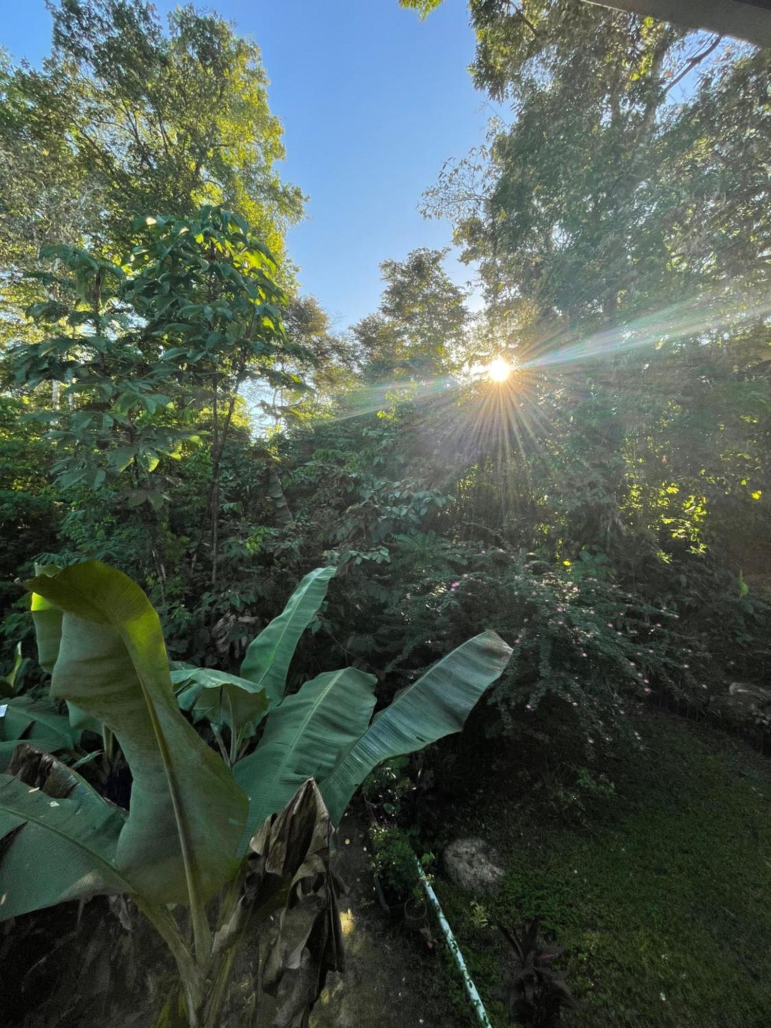 Ceiba Lodge Драке Экстерьер фото