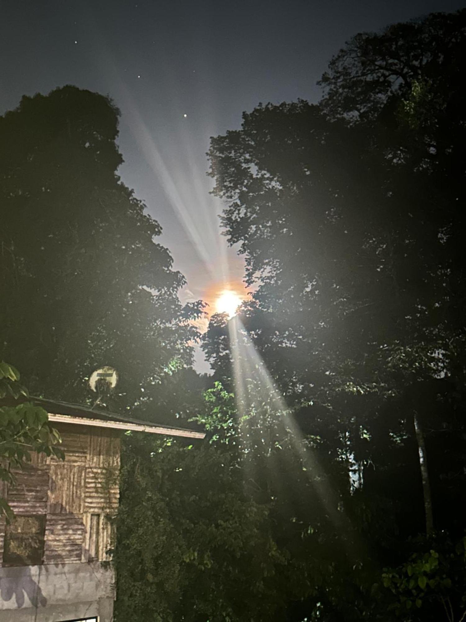 Ceiba Lodge Драке Экстерьер фото